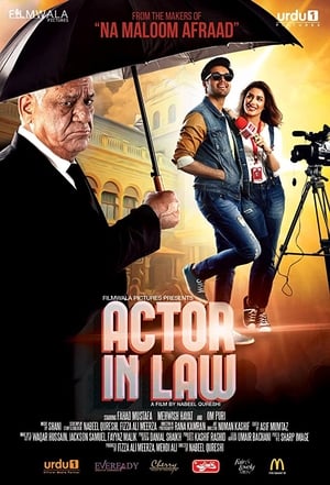 Actor in Law (2016) Movie Pakistani HDRip 480p [700MB] Download
