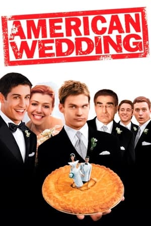 American Wedding (2003) Hindi Dual Audio 720p BluRay [850MB]