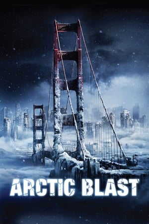 Arctic Blast 2010 Hindi Dual Audio 480p BluRay 300MB