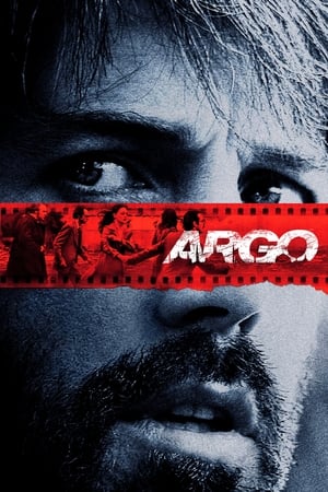 Argo (2012) Hindi Dual Audio 480p BluRay 360MB