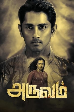 Aruvam (2019) (Hindi – Tamil) Dual Audio 480p UnCut HDRip 400MB