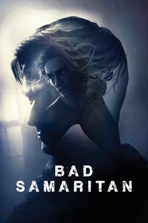 Bad Samaritan (2018) Hindi Dual Audio 480p BluRay 400MB