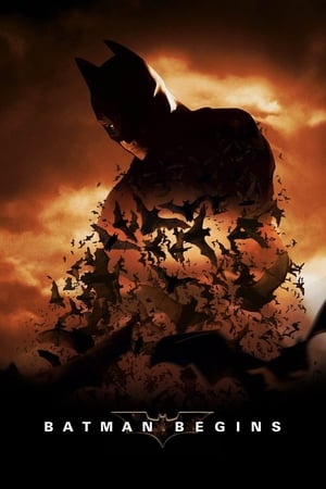 Batman Begins (2005) Hindi Dual Audio Bluray 720p [980MB] Download