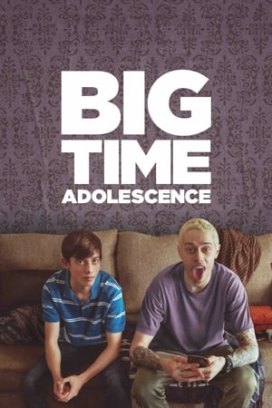 Big Time Adolescence (2019) Hindi Dual Audio HDRip 720p – 480p