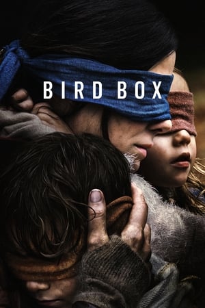 Bird Box 2018 Hindi (HQ DUBBED) Dual Audio 480p WebRip 380MB