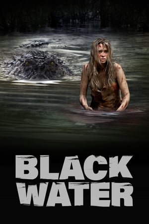 Black Water (2007) Hindi Dual Audio 720p BluRay [1GB]