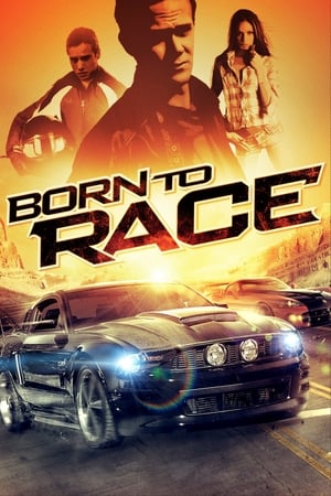Born to Race 2011 Hindi Dual Audio 720p BluRay [610MB]