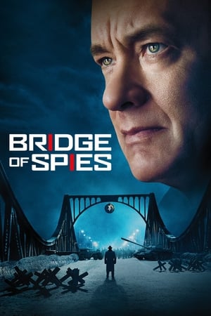 Bridge of Spies (2015) Hindi Dual Audio 720p BluRay [1.1GB] ESubs