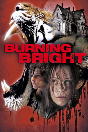 Burning Bright (2010) Hindi Dual Audio 480p BluRay 300MB