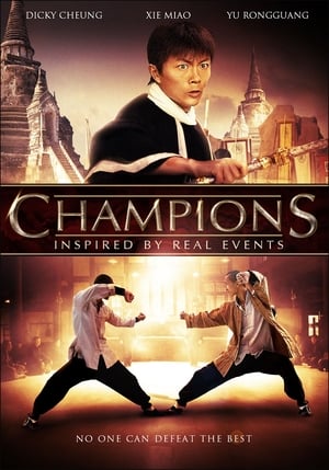 Champions (2008) Hindi Dual Audio 480p HDRip 380MB