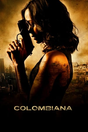 Colombiana (2011) Hindi Dual Audio 480p BluRay 350MB