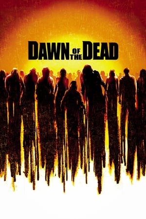 Dawn of the Dead (2004) Hindi Dual Audio 480p BluRay 400MB