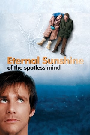 Eternal Sunshine Of The Spotless Mind 2004 Hindi Dual Audio 720p BluRay [780MB]