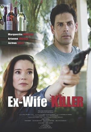 Ex-Wife Killer (2017) Hindi Dual Audio 480p WebRip 300MB