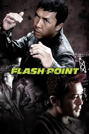 Flash Point (2007) Hindi Dual Audio 480p BluRay 300MB