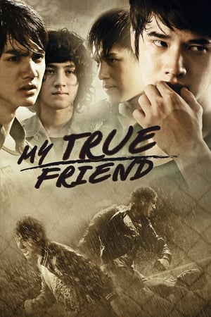 Friends Never Die (2012) Hindi Dubbed 720p HDRip [1.1GB]