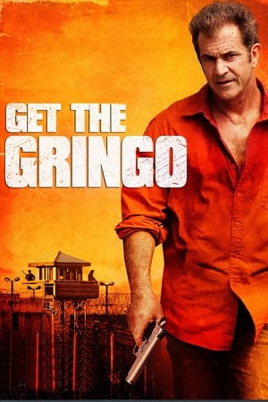 Get the Gringo (2012) Hindi Dual Audio 720p BluRay [850MB]