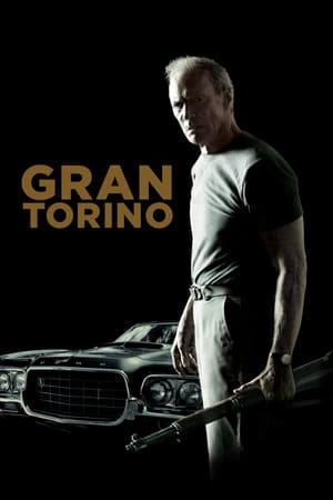 Gran Torino (2008) Hindi Dual Audio 720p BluRay [1GB]