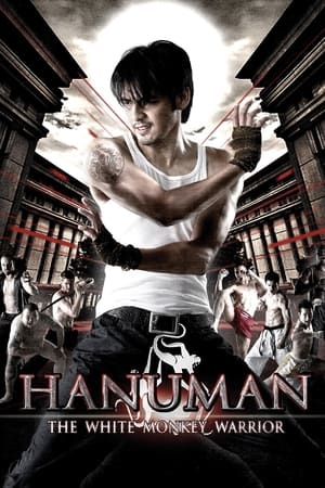 Hanuman The White Monkey Warrior 2008 Hindi Dual Audio 480p BluRay 300MB