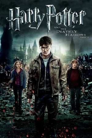 Harry Potter and the Deathly Hallows 2011 – Part 2 Hindi Dubbed Bluray 720p [1.0GB] Download