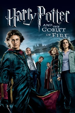 Harry Potter and the Goblet of Fire 2005 Hindi Dubbed Bluray 720p [1.0GB] Download