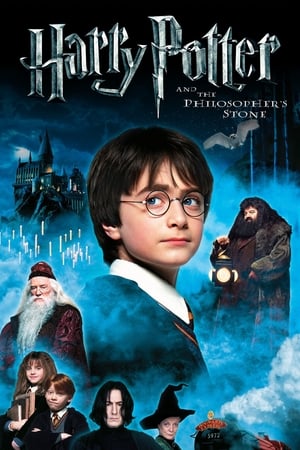 Harry Potter and the Sorcerer's Stone 2001 Hindi Dubbed Bluray 720p [1.0GB] Download
