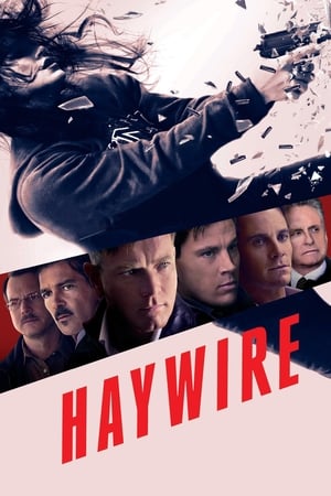 Haywire (2011) Hindi Dual Audio 480p BluRay 300MB