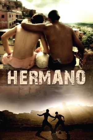 Hermano 2010 Hindi Dual Audio 480p BluRay 300MB