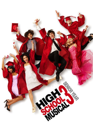 High School Musical 3 (2008) Hindi Dual Audio 480p BluRay 350MB