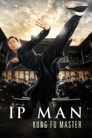 Ip Man: Kung Fu Master (2019) Hindi Dual Audio 480p HDRip 300MB