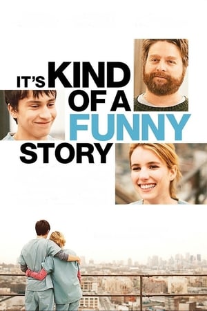 Its Kind of a Funny Story 2010 Hindi Dual Audio 480p BluRay 330MB