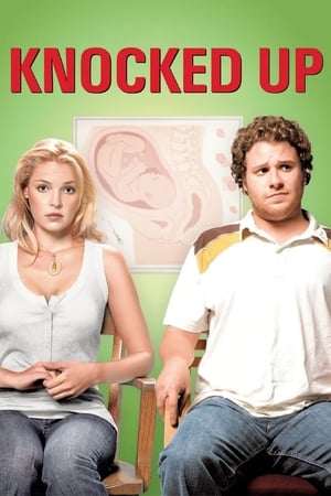 Knocked Up (2007) Hindi Dual Audio 480p BluRay 350MB