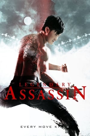Legendary Assassin (2008) Hindi Dual Audio 480p BluRay 300MB