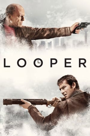 Looper (2012) Hindi Dual Audio 480p BluRay 380MB