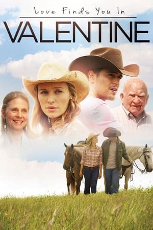 Love Finds You in Valentine (2016) Hindi Dual Audio 480p BluRay 300MB