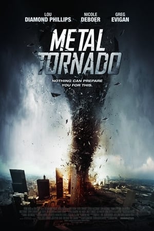 Metal Tornado 2011 Hindi Dual Audio 720p BluRay [1GB]