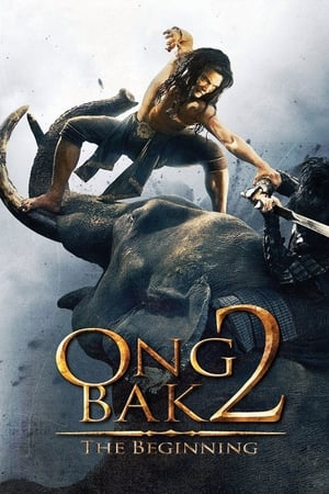 Ong Bak 2 (2008) Hindi Dual Audio 720p BluRay [800MB]
