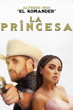 Prince 2022 Hindi (HQ Dubbed) Movie Pre-DVDRip 720p – 480p