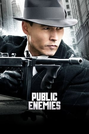 Public Enemies (2009) Hindi Dual Audio 480p BluRay 400MB