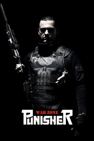 Punisher: War Zone (2008) Hindi Dual Audio 480p BluRay 340MB