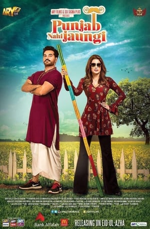 Punjab Nahi Jaungi (2017) Movie 480p HDTVRip - [450MB]