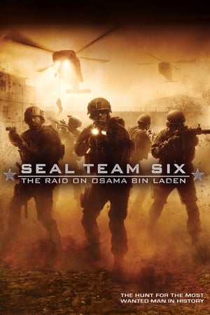 Seal Team Six: The Raid on Osama Bin Laden (2012) Hindi Dual Audio Full Movie 720p BluRay - 1.3GB