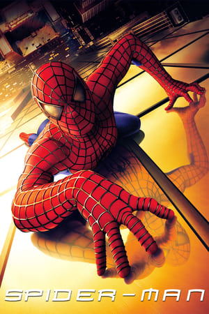 Spider-Man (2002) Hindi Dual Audio 480p BluRay 370MB
