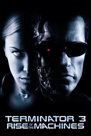 Terminator 3: Rise of the Machines (2003) Hindi Dual Audio 720p BluRay [850MB]