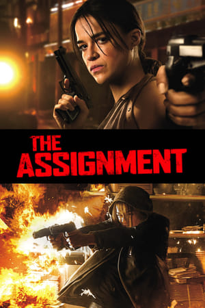 The Assignment (2016) Hindi Dual Audio 720p BluRay [850MB]