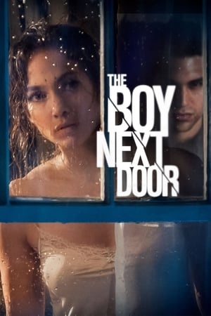 The Boy Next Door 2015 Hindi Dual Audio 480p BluRay 300MB