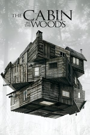 The Cabin in the Woods (2011) Hindi Dual Audio 480p BluRay 300MB