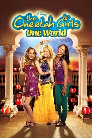 The Cheetah Girls: One World (2008) Hindi Dual Audio 480p BluRay 300MB