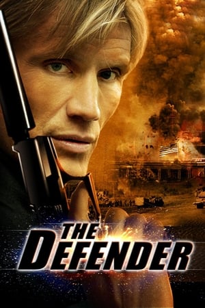 The Defender (2004) Hindi Dual Audio 480p BluRay 300MB