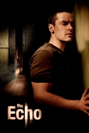 The Echo (2008) Hindi Dual Audio 480p BluRay 300MB